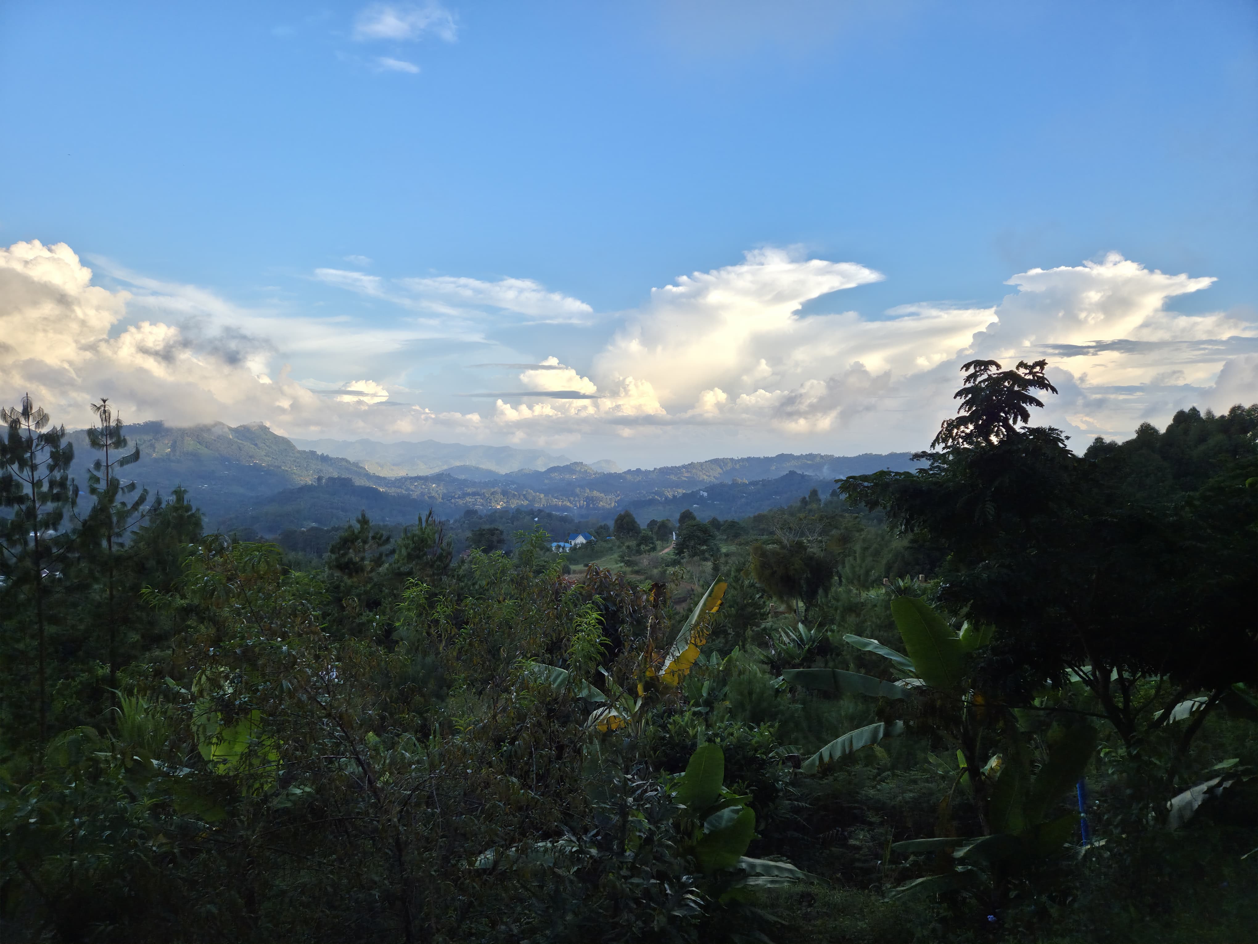 Usambara mountain valley